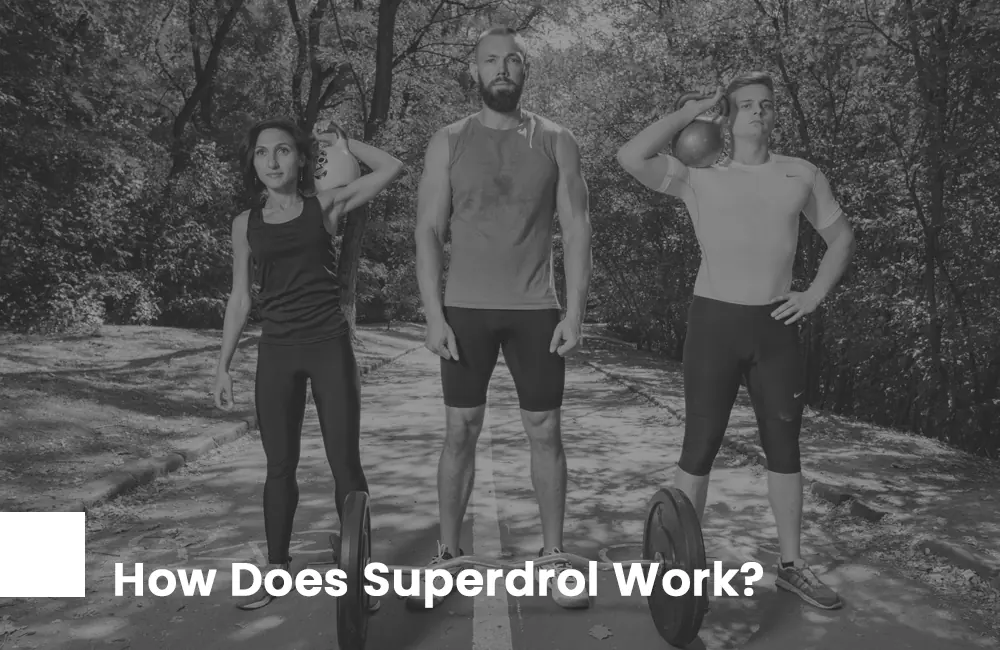 How does Superdrol work